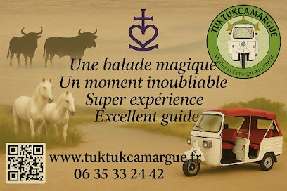Activité : Tuk tuk Camargue