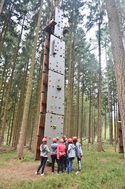 Activité : Accrobranche Center Parcs Les Trois Forêts