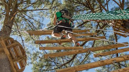 Activité : Accroche Toi Aux Branches | Vallon Pont d'Arc