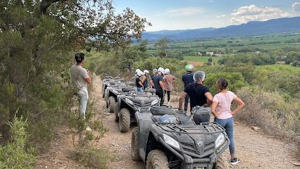 Activité : Quad Var