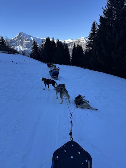 Activité : Evasion Nordique