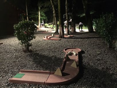 Activité : Bateaux électriques / Pédalos/ Mini-golf Passy Mont-blanc