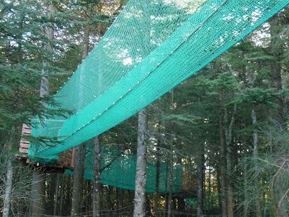 Activité : Aoubré l'Aventure Nature