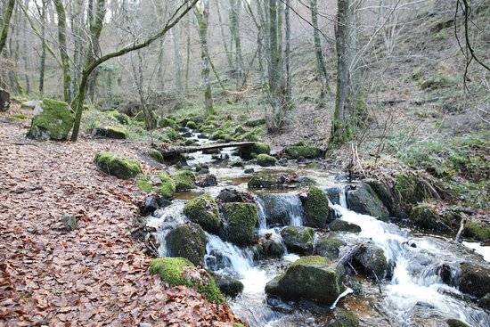 Photo de Cascade du Briscou