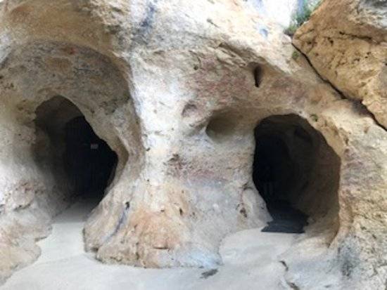 Photo de Grotte de Font-de-Gaume