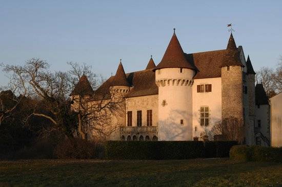 Photo : Château d'Aulteribe