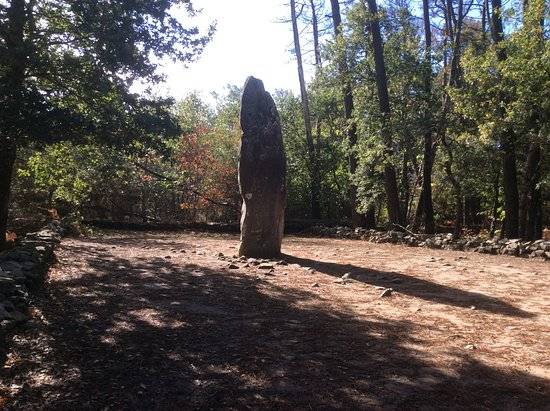 Photo de Géant du Manio