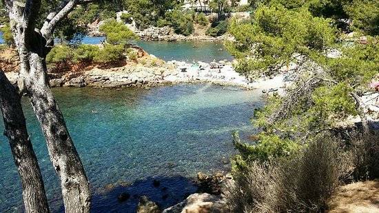 Photo : Plage du Capelan