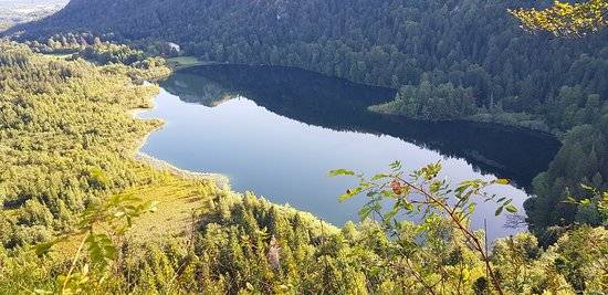 Photo de Lac de Bonlieu
