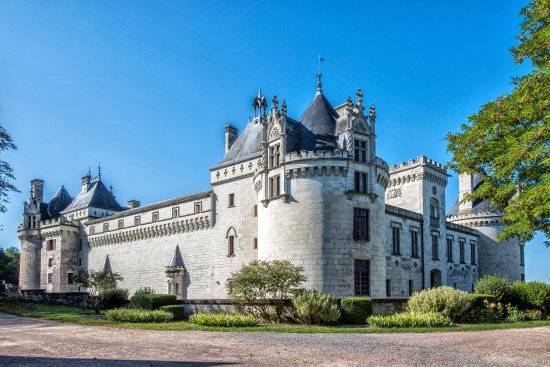 Photo de Château de Brézé