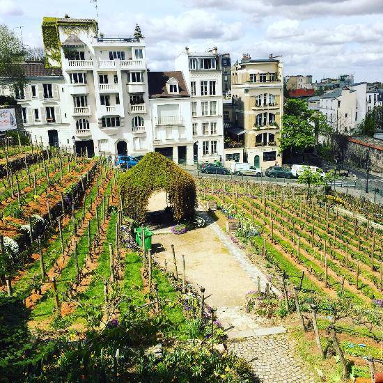 Photo de Musée de Montmartre Paris XVIII