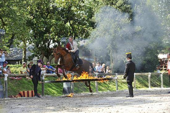 Photo : Haras De La Vendée