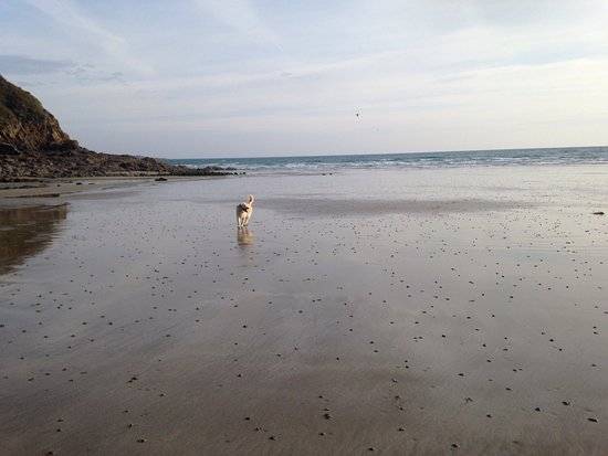 Photo : Plage du Palus