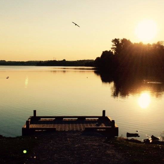 Photo de Etang du Vignoble