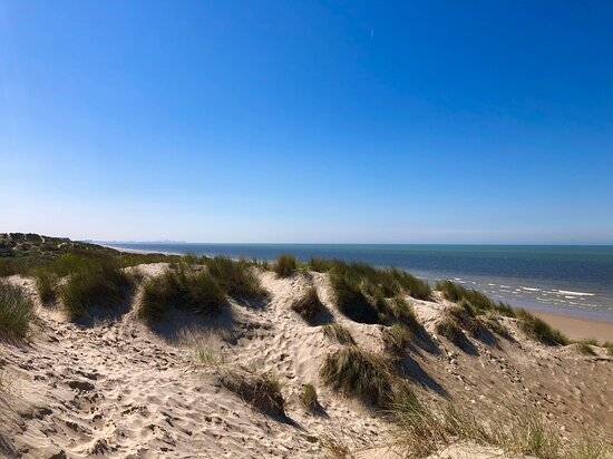 Photo : Reserve Naturelle Dune Marchand