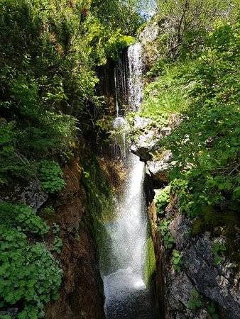 Photo de Jardin botanique Alpin de la Jaysinia
