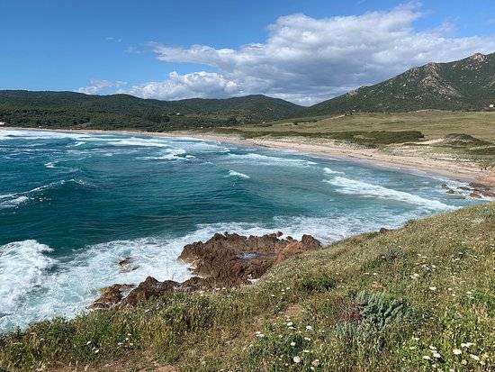 Photo de Plage de Capo di Feno