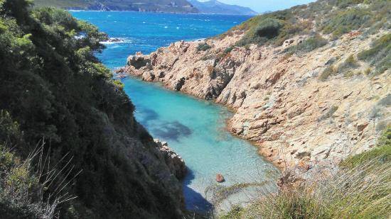 Photo de Plage de l'Ostriconi