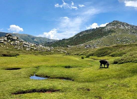 Photo de Plateau de Coscione