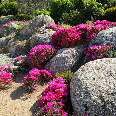 Photo de Parc de Saleccia