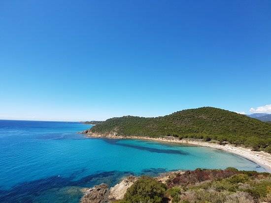 Photo de Plage de Fautea