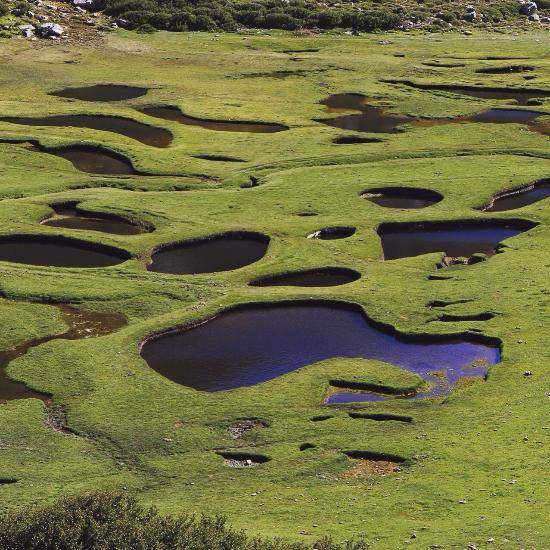 Photo de Pozzines du Val d'Ese