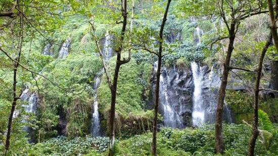 Photo de Anse Des Cascades