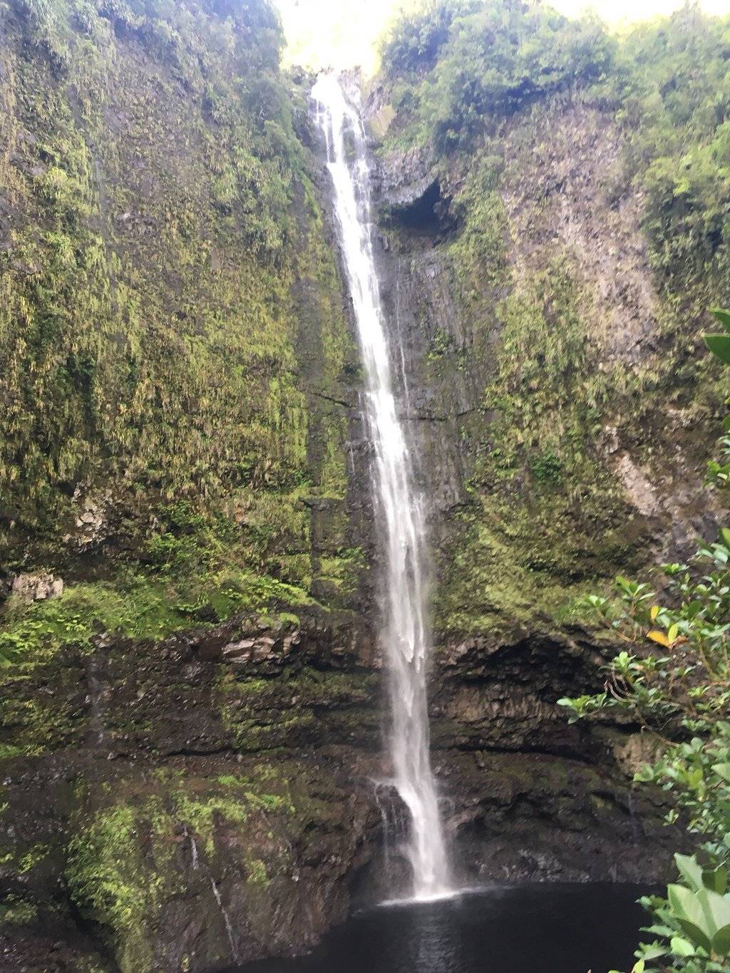 Photo de Les Cascades de Takamaka