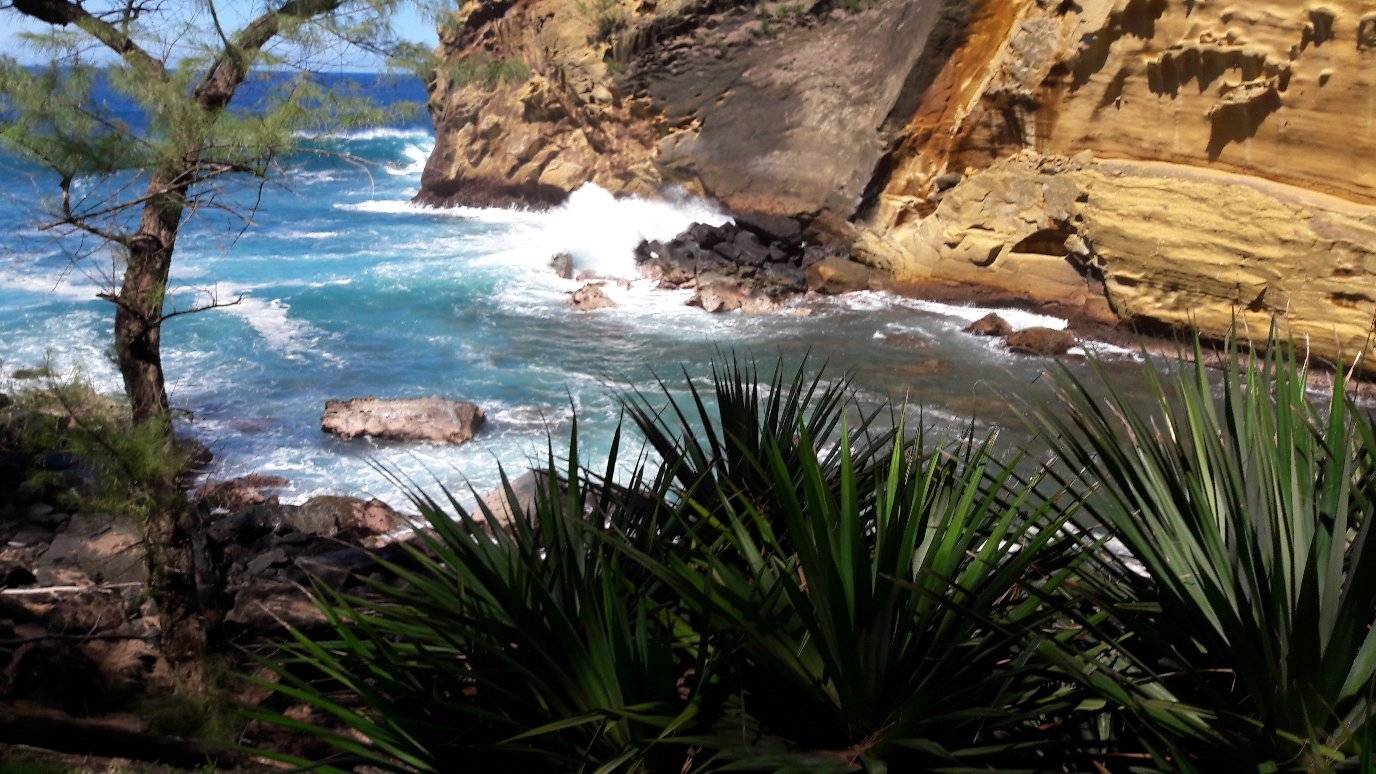 Photo de Le Cap Jaune