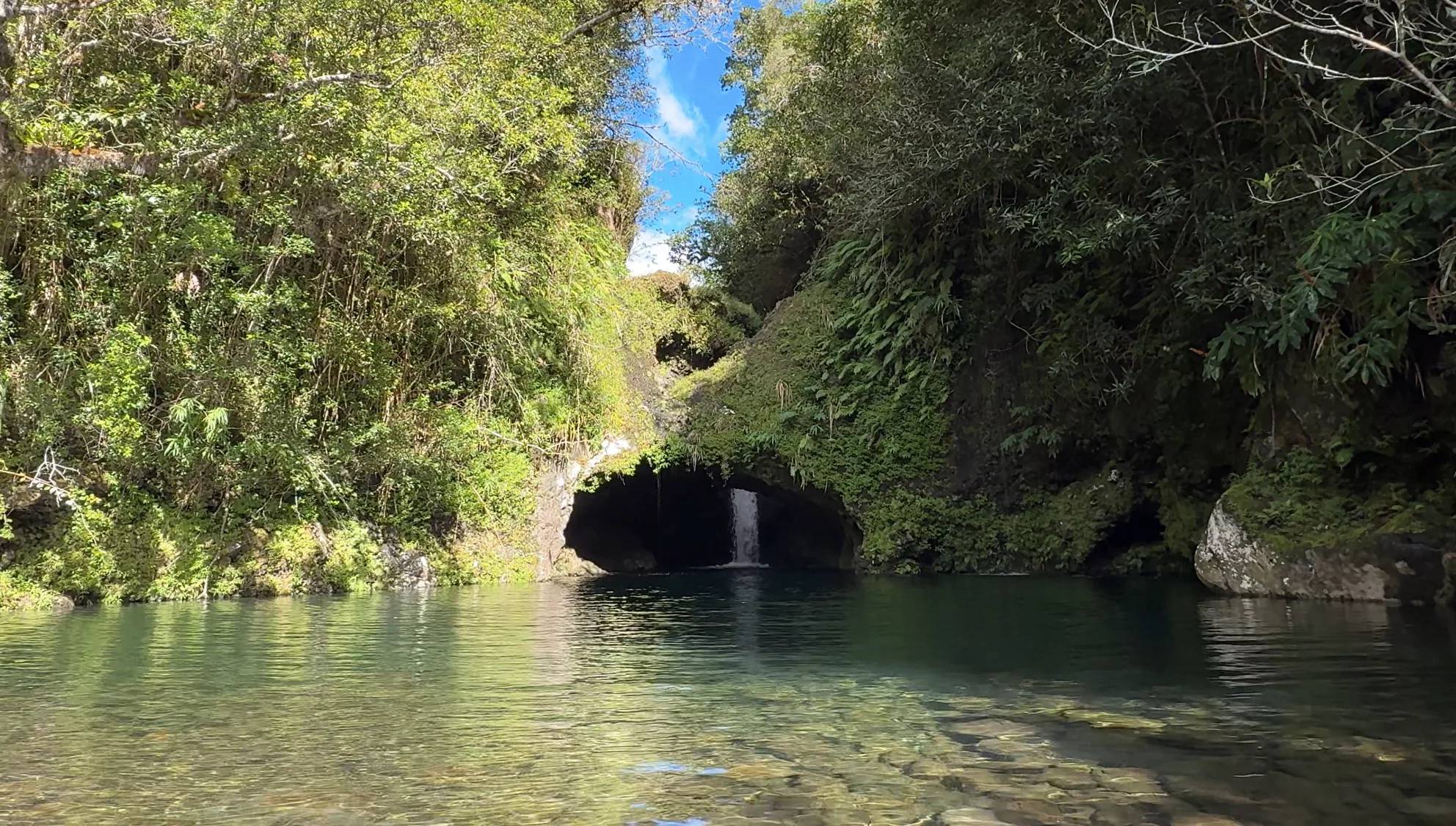 Photo de Bassin Songe