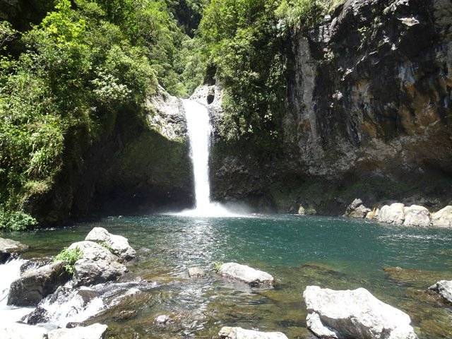 Photo de Cascade Gingembre