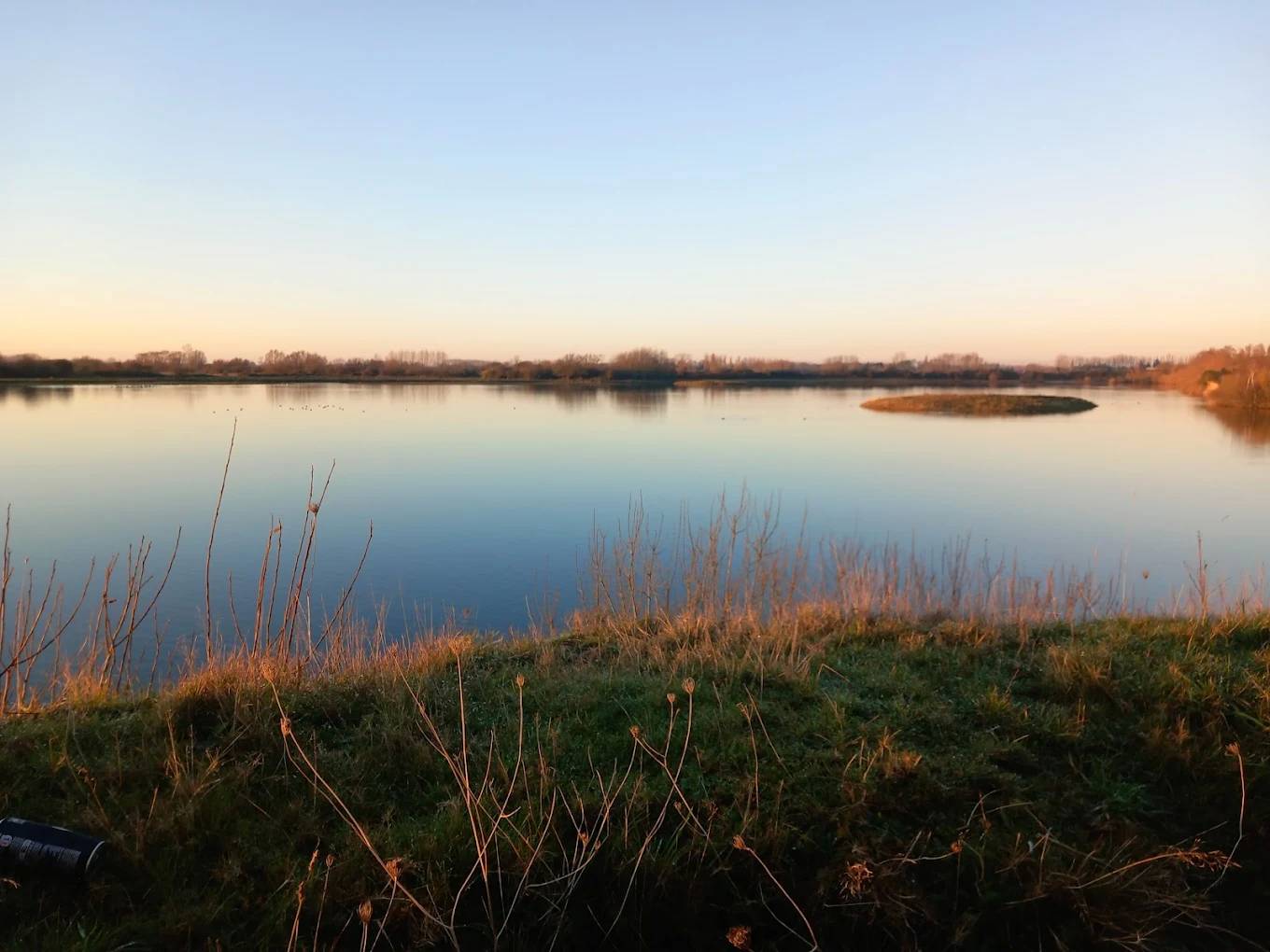 Photo de Observatoire ornitho Conchil