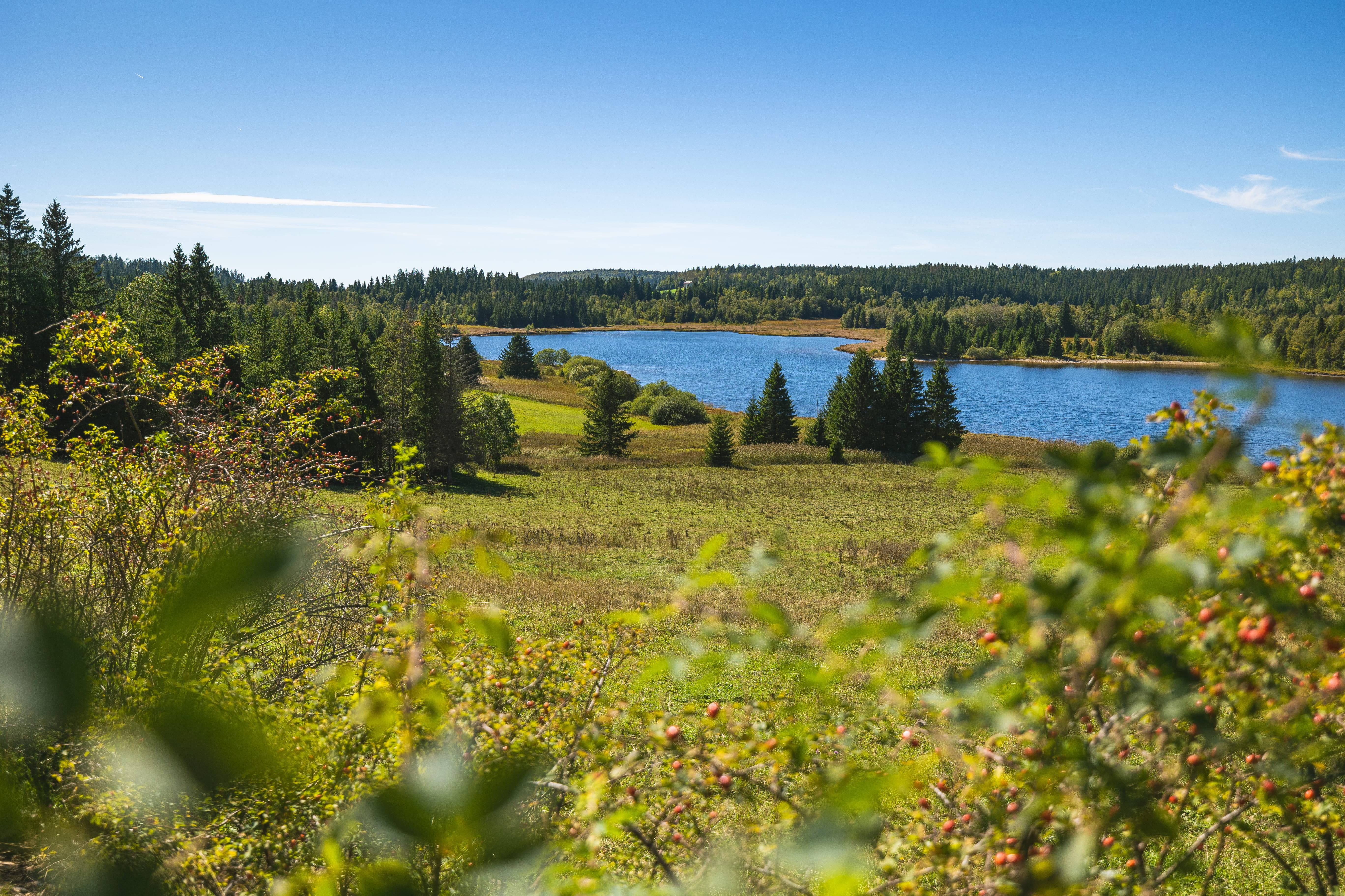 Photo : Lacs et tourbières de Bellefontaine et des Mortes