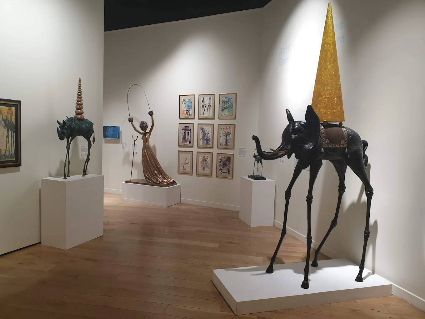 Photo : Dalí Paris