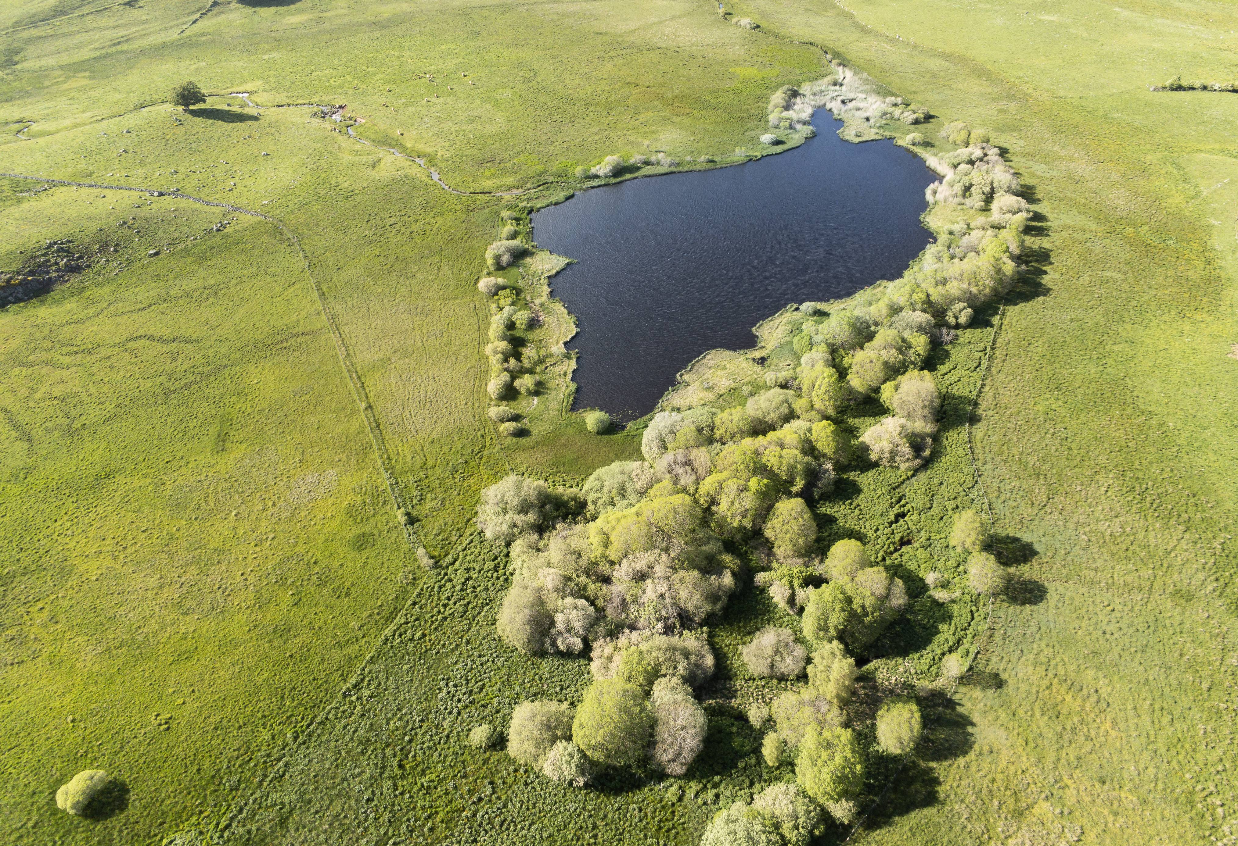 Photo : LAC ET TOURBIERE DE SOUVEYROLS