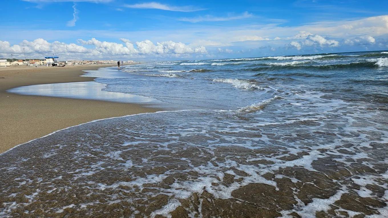Photo : Plage de Narbonne plage