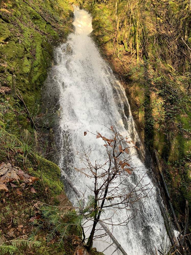 Photo : Cascade de Miraumont