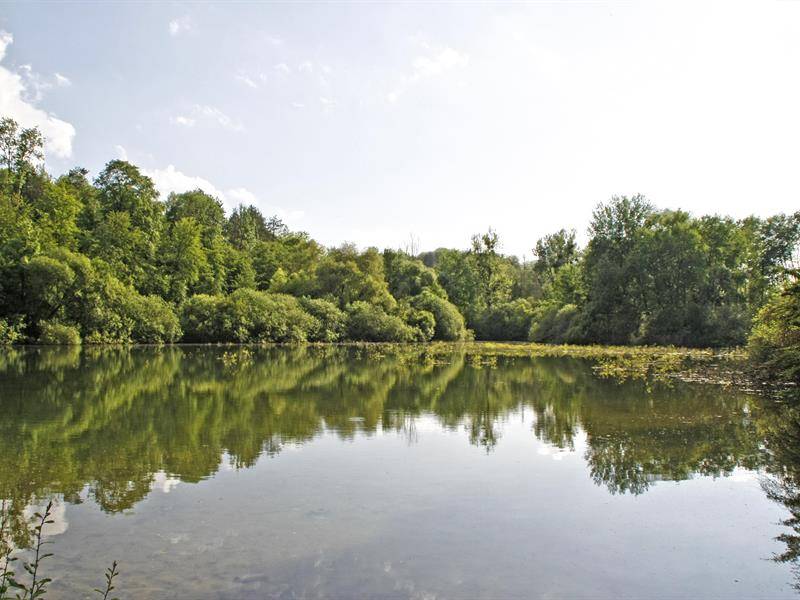 Photo de Étang de Vaux