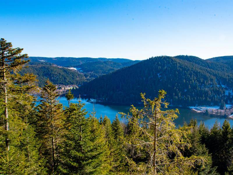 Photo de Le point de vue Morand