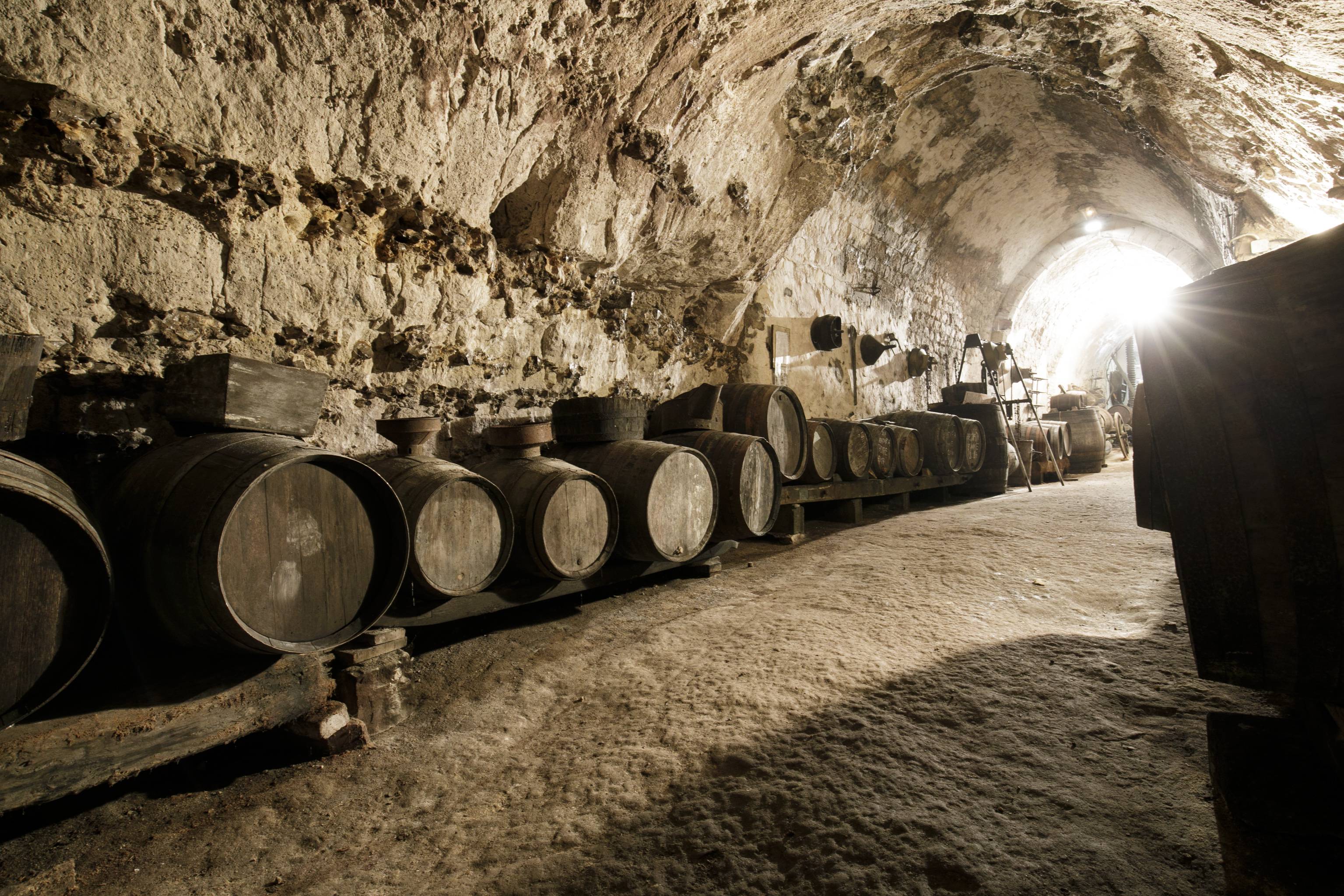 Photo de Ecomusée des Vignerons et Artisans du Drouais
