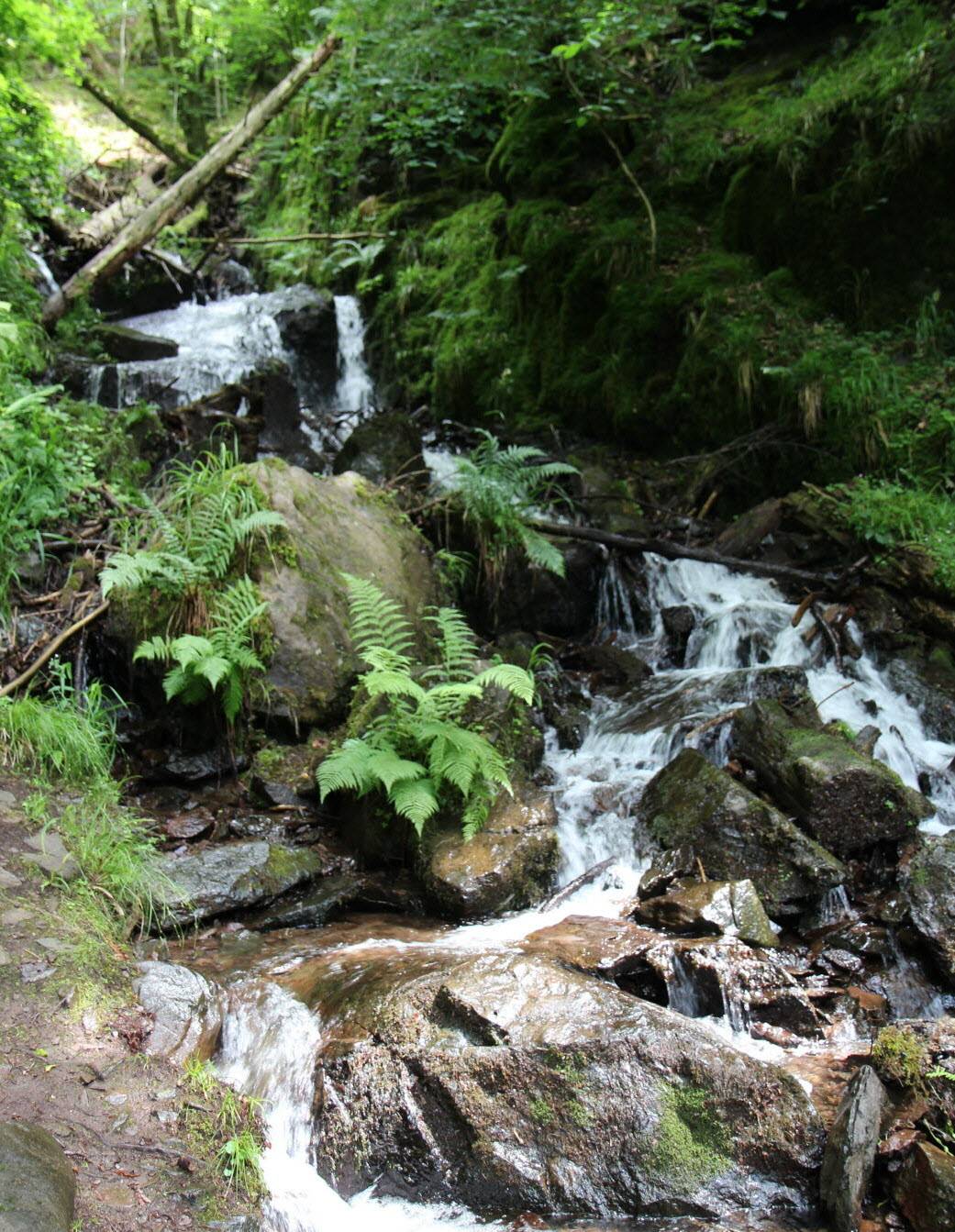Photo : Cascade de la crache