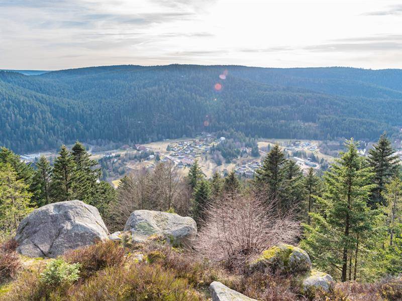 Photo de La roche Morand