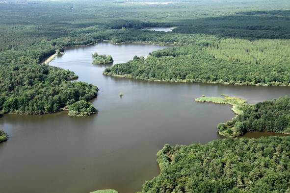 Photo de Etang de Fosse Noire