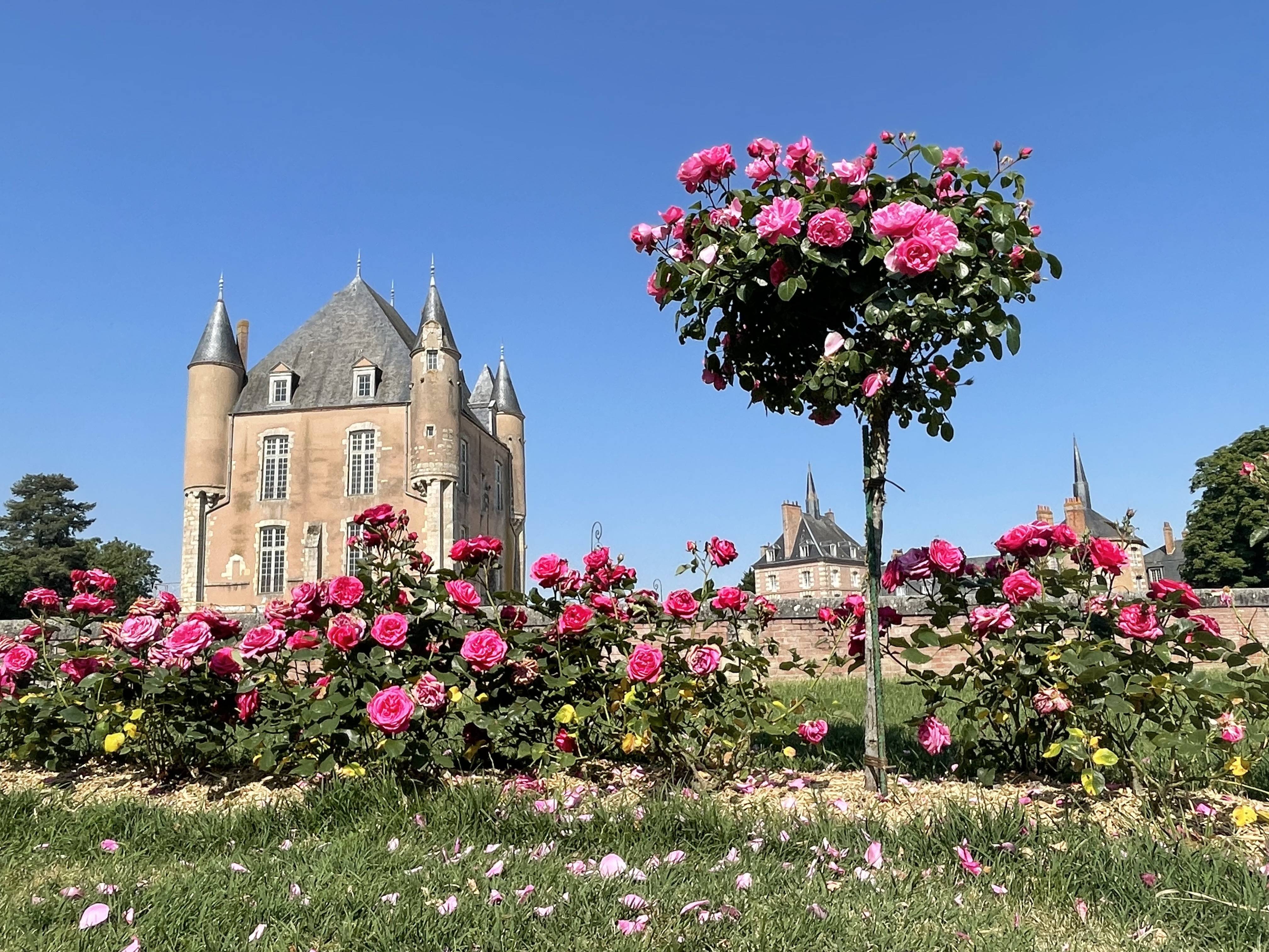 Photo : Château de Bellegarde
