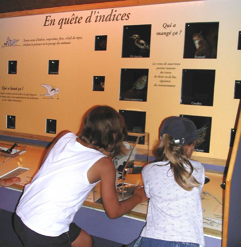 Photo de Museum d'Histoire Naturelle