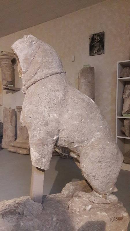 Photo de Musée lapidaire gallo-romain