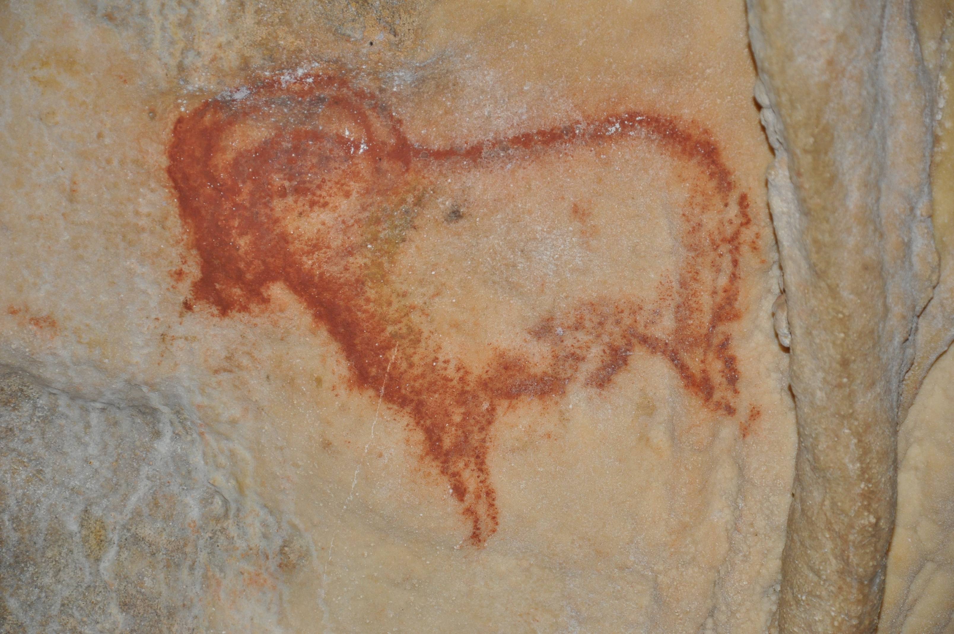 Photo de Grottes Préhistoriques de Cougnac