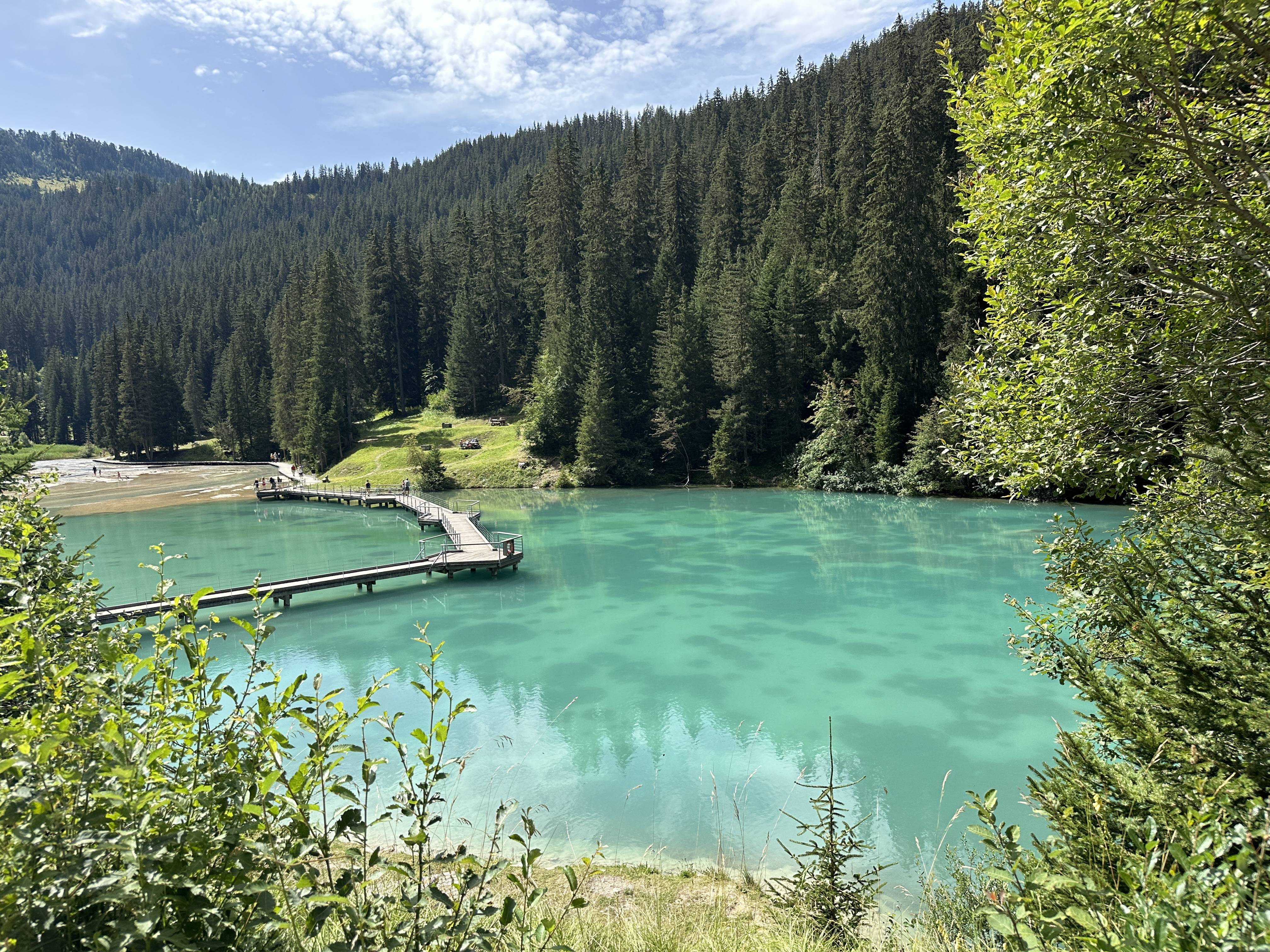 Photo de Lac de la Rosière