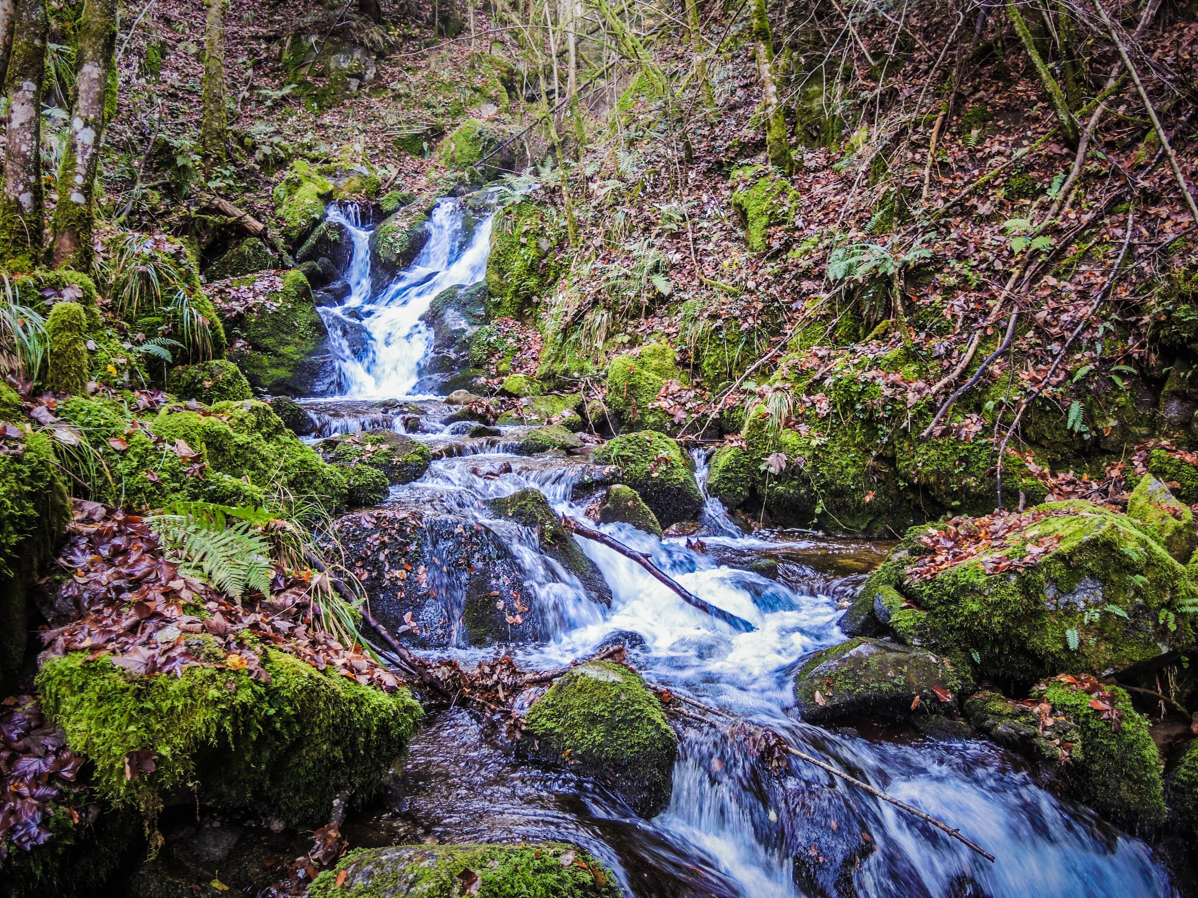 Photo : Cascade Saint-Nicolas