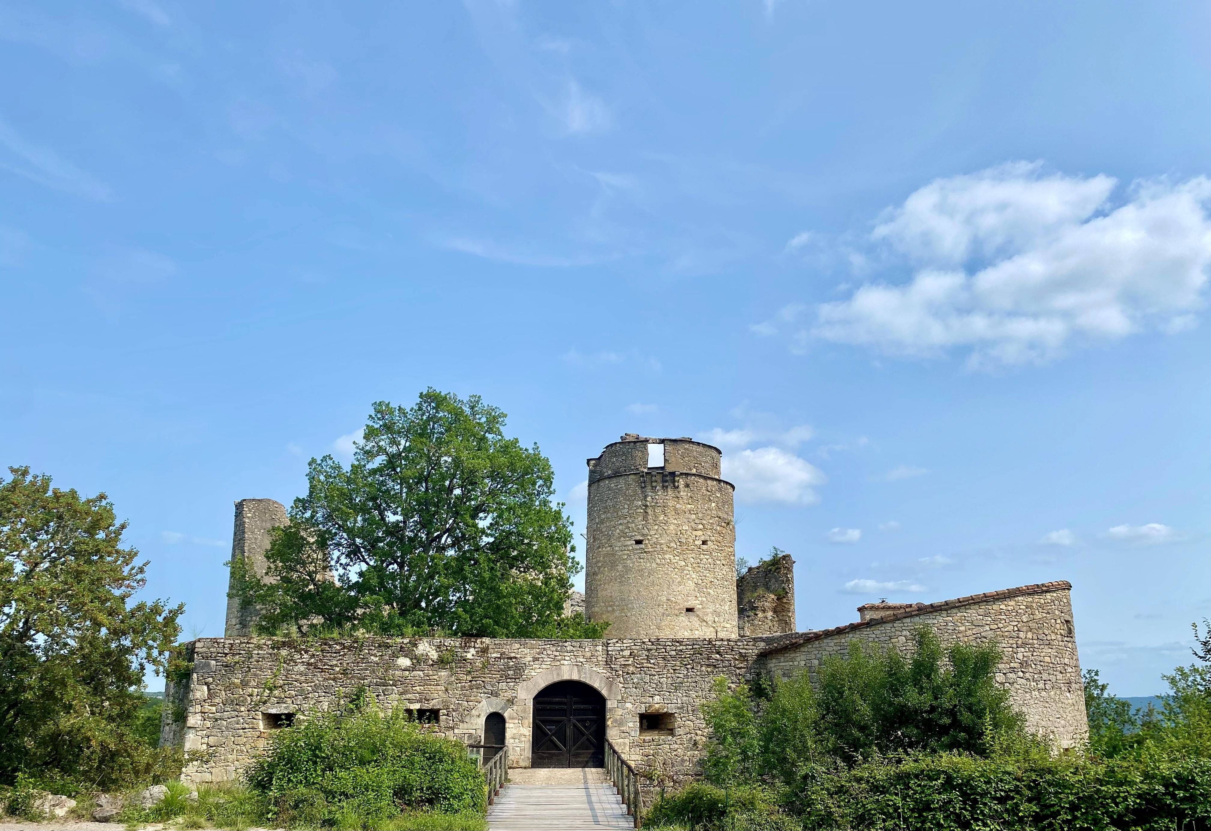 Photo : Château de Roussillon